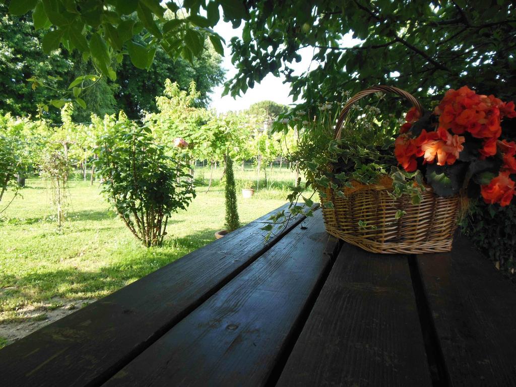 Al Pic De Corone Bed & Breakfast Terzo d' Aquileia Bagian luar foto