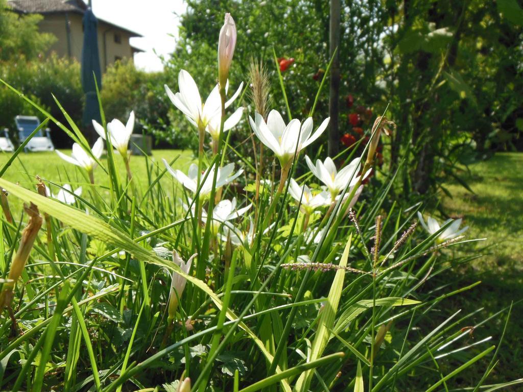 Al Pic De Corone Bed & Breakfast Terzo d' Aquileia Bagian luar foto