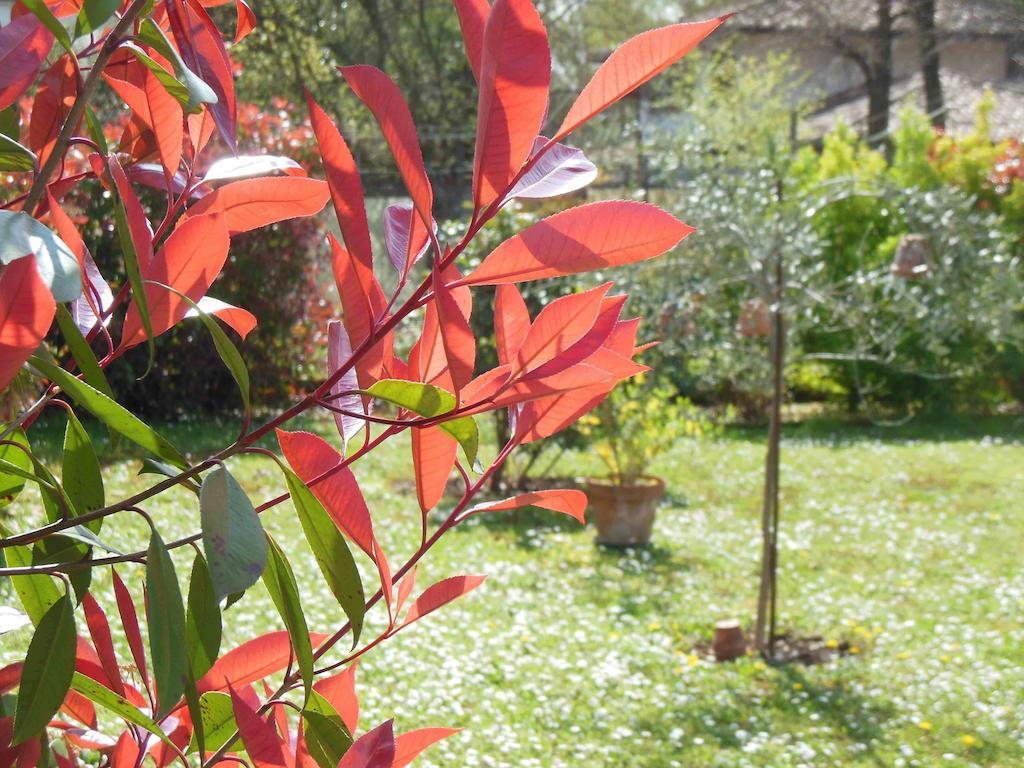Al Pic De Corone Bed & Breakfast Terzo d' Aquileia Bagian luar foto