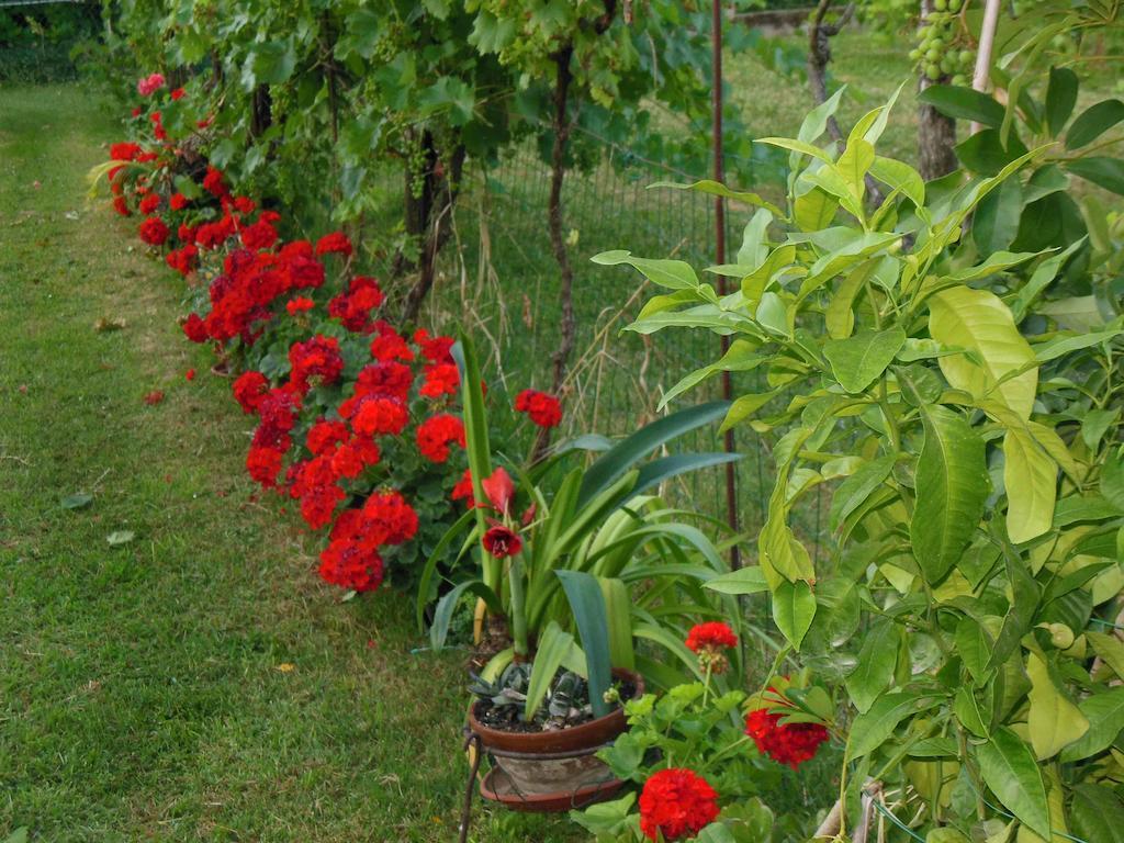 Al Pic De Corone Bed & Breakfast Terzo d' Aquileia Bagian luar foto