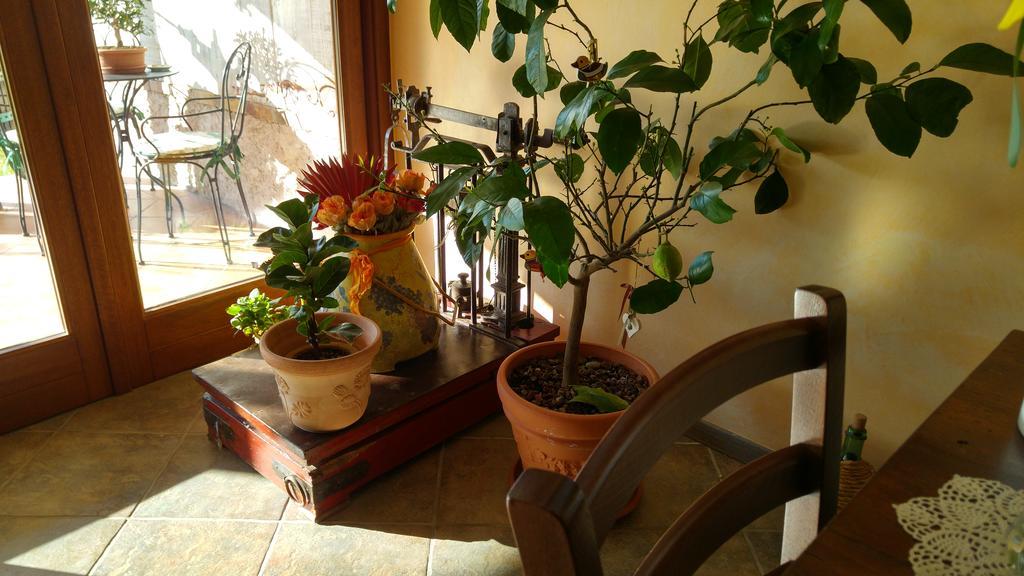 Al Pic De Corone Bed & Breakfast Terzo d' Aquileia Bagian luar foto