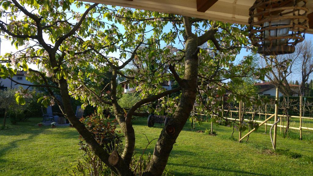 Al Pic De Corone Bed & Breakfast Terzo d' Aquileia Bagian luar foto