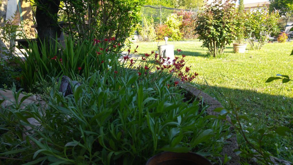 Al Pic De Corone Bed & Breakfast Terzo d' Aquileia Bagian luar foto