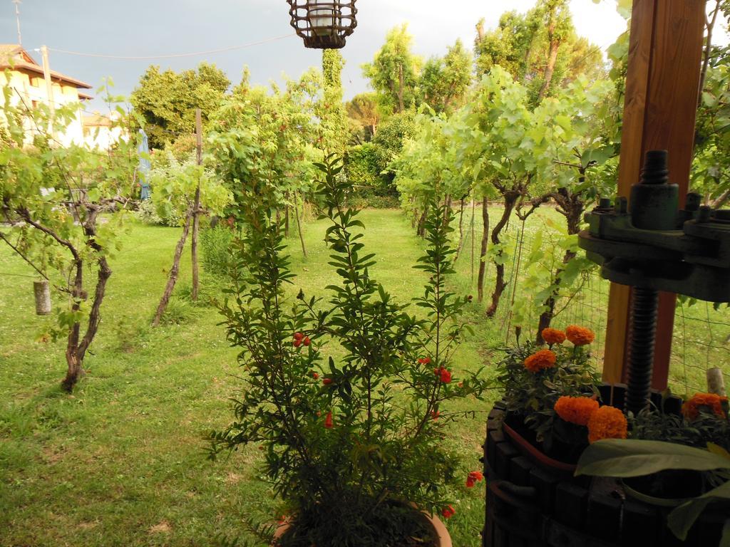 Al Pic De Corone Bed & Breakfast Terzo d' Aquileia Bagian luar foto