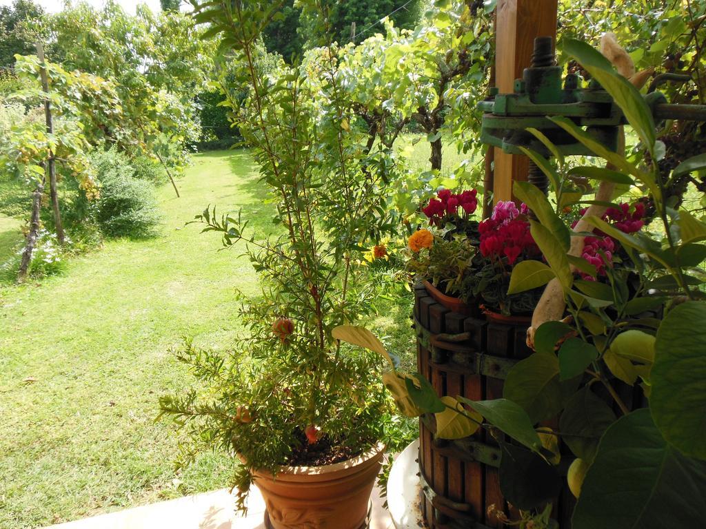 Al Pic De Corone Bed & Breakfast Terzo d' Aquileia Bagian luar foto