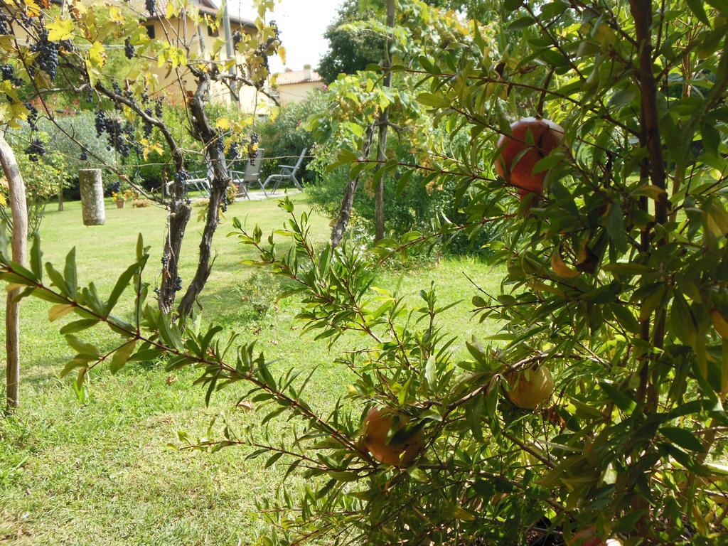 Al Pic De Corone Bed & Breakfast Terzo d' Aquileia Bagian luar foto